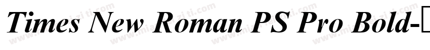 Times New Roman PS Pro Bold字体转换